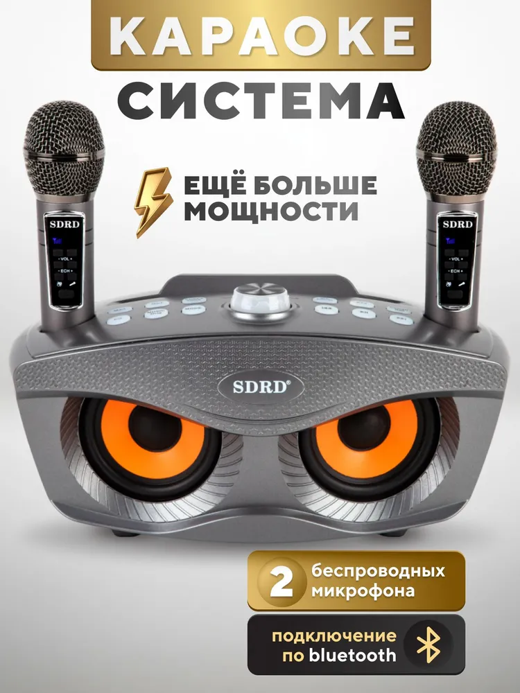 SDRD SD-306 Plus Grey ikkita mikrofonli simsiz karaoke tizimi
